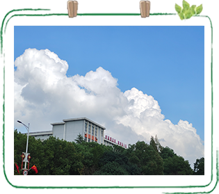 风景照